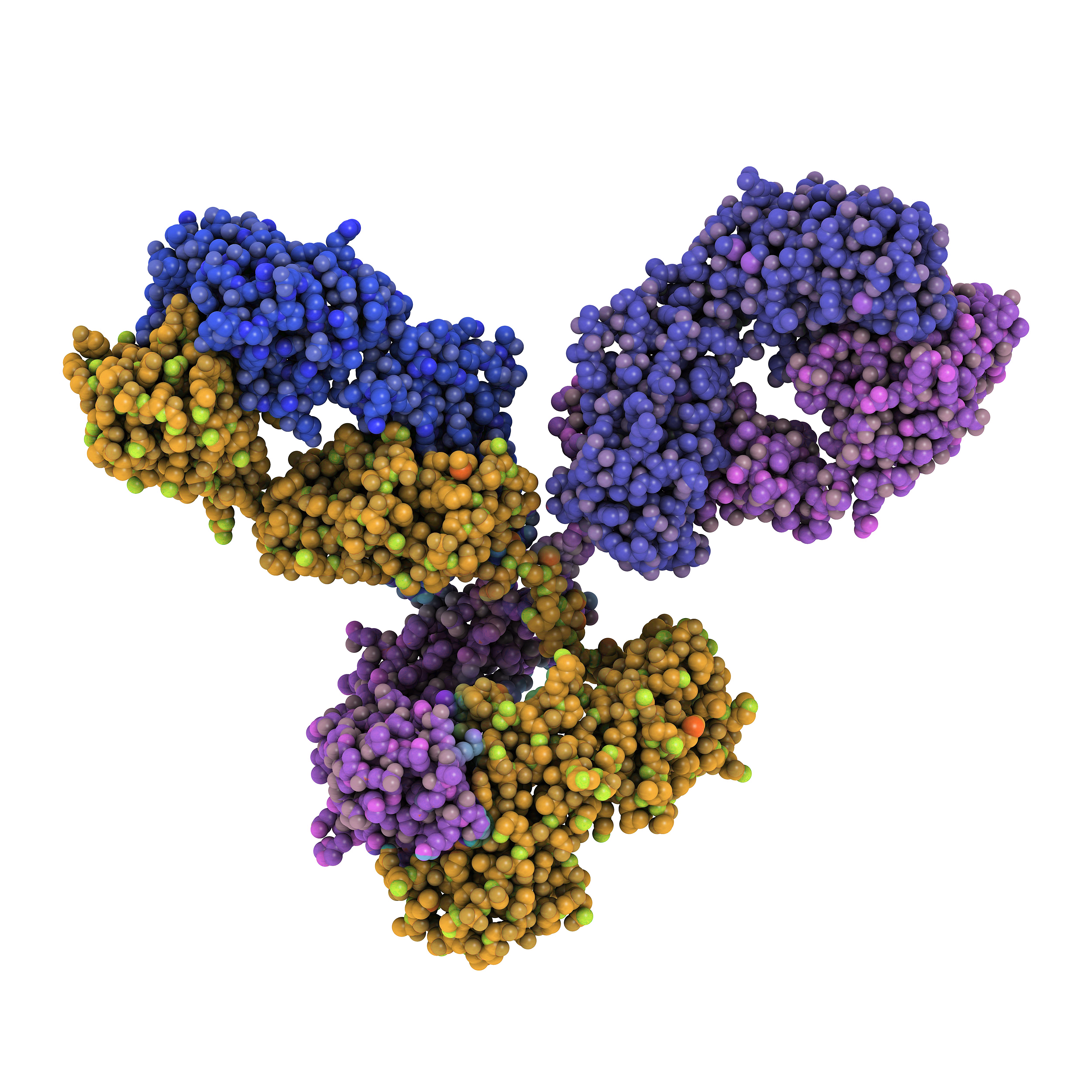 Antibody Biomolecules